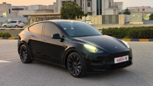 Tesla Model Y Performance 2024